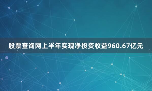股票查询网上半年实现净投资收益960.67亿元