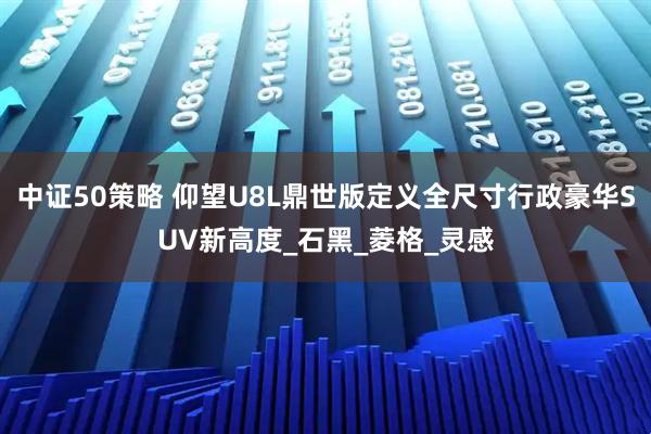 中证50策略 仰望U8L鼎世版定义全尺寸行政豪华SUV新高度_石黑_菱格_灵感