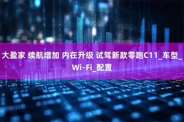 大盈家 续航增加 内在升级 试驾新款零跑C11_车型_Wi-Fi_配置