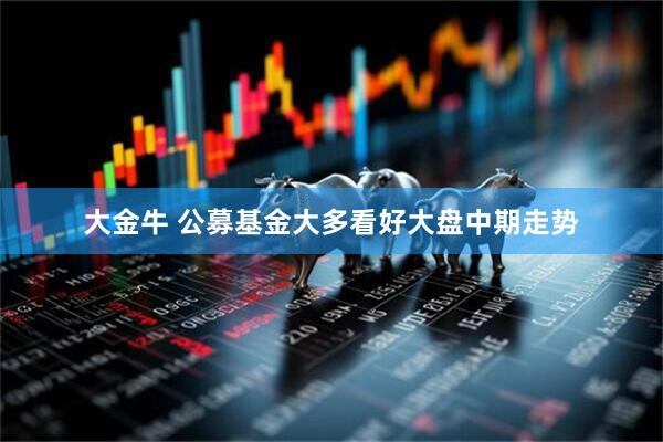 大金牛 公募基金大多看好大盘中期走势