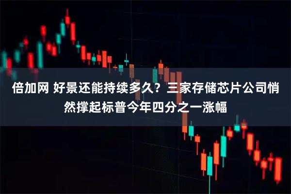 倍加网 好景还能持续多久?三家存储芯片公司悄然撑起标普今年四分之一涨幅