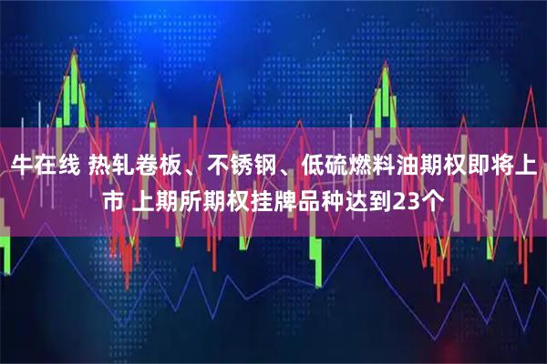 牛在线 热轧卷板、不锈钢、低硫燃料油期权即将上市 上期所期权挂牌品种达到23个